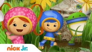 Team Umizoomi  Theme Song  Stay Home WithMe  Nick Jr [upl. by Yrrad]