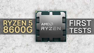 Ryzen 5 8600G vs 7600 vs 5600G vs Core i512600KKF vs i313100F first tests [upl. by Maryann295]