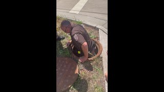 Outagamie Co Sheriff saves ducklings [upl. by Noryv]