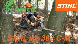 Motosega Stihl MS 362 CM [upl. by Humfrid]