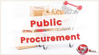 5 Principles of Public Procurement in South Africa Explained  Public Administration 101 Full Video [upl. by Keffer670]