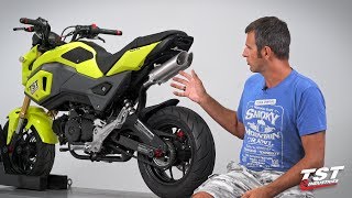 2017 Honda Grom with Toce Exhaust [upl. by Gayner]