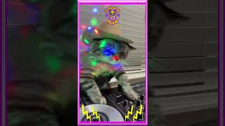 DJ TIKTOK TERBARU SALEHO X MELODY SPECTRE X AVANGARD djtiktokterbaru [upl. by Murphy320]