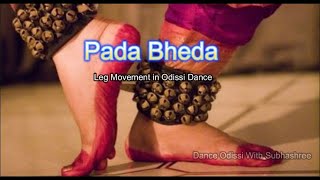 Pada Bheda Odissi Dance Class  Leg Movement Postures in Odissi Dance  Session 12 [upl. by Inna357]