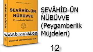 12 Şevahidün Nübüvve 6 Bolum Hz Osman bin Affan [upl. by Wehner310]