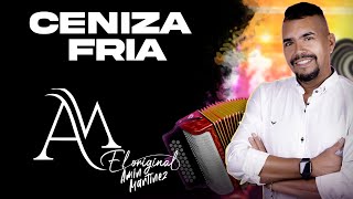 CENIZA FRIA  AMIN MARTINEZ  VIDEO LYRICS  KARAOKE [upl. by Shaughn]