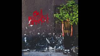 1 TRAVIS COTT MEADOW CREEK OWL PHARAOH [upl. by Daryn]