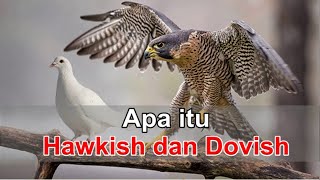 APA ITU HAWKISH DAN DOVISH [upl. by Feerahs]