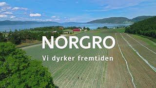 Norgro  Kål [upl. by Aikemet495]