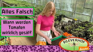 Wann werden Tomaten wirklich ausgesät [upl. by Sauncho]