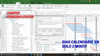 Días calendario con campos personalizados  Ms Project 2019 [upl. by Aikrahs266]