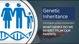 What Genes Do We Inherit from Our Parents  Genetic Inheritance Explained [upl. by Kelleher]