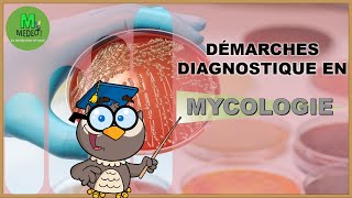 DEMARCHE DIAGNOSTIQUE EN MYCOLOGIE cours de parasitologie médicale [upl. by Thorley111]