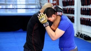 3 Basic Knee Strike Techniques  MMA Fighting [upl. by Eah]