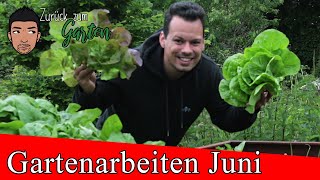 Die wichtigsten Gemüsegartenarbeiten im Juni Schnecken Aussaaten Unkraut Mulchen uvm [upl. by Enitsirt]