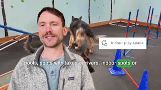 Sniffspot Is Airbnb for Dog Parks [upl. by Naillik677]