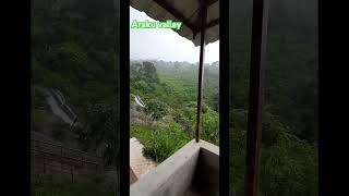 Araku waterfalls araku arakutrip waterfalls shorts youtubeshorts trip peace [upl. by Illa28]