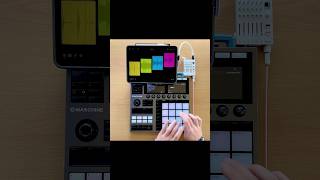 Live looping with Maschine standalone amp Loopy Pro on iPad [upl. by Meara]