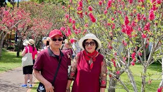 Japanese Garden in Toowoomba Australia 150924No258 [upl. by Guglielma908]