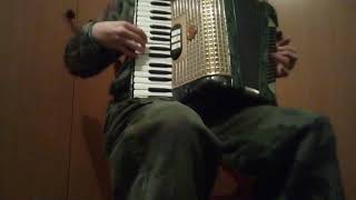 Panteri  Roki Vulović Accordion [upl. by Richey292]