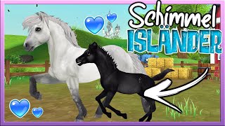 Unser SCHIMMEL ISLÄNDER 🐴🤍 aus der Star Stable Horses App ✅ SSO [upl. by Geoffrey236]