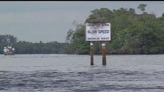 FWC relaxing boat speed regulations in manatee zones [upl. by Penhall378]