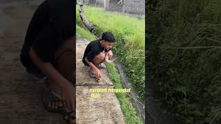 Sabar aja bang nanti dapet ikan hiu mancing lele ngejek [upl. by Marras]