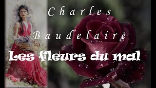 Baudelaire  Les fleurs du mal 1522  Le vin [upl. by Otrebla]