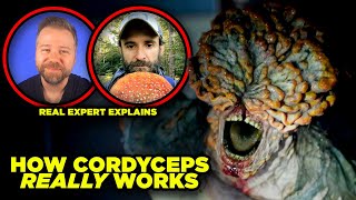 The Last of Us CORDYCEPS Myths DEBUNKED By Real Fungus Expert [upl. by Elayor]