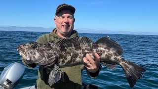 Newport Oregon Herring and Lingcod fishing [upl. by Parrisch]