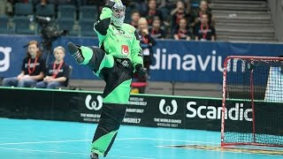 World Floorball Championships 2014 Top 10 Saves [upl. by Lhadnek]