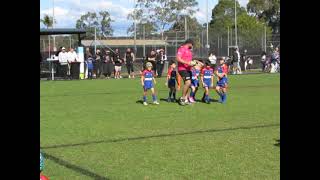 Div 1 U7s1st Quarter St Johns vs Chester Hill 17 08 24 [upl. by Atrahc764]