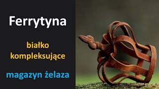 Ferrytyna  forma magazynowania żelaza [upl. by Bunni520]