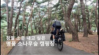 회동솔향캠핑장  자전거캠핑  미니멀캠핑  스노우피크헥사이즈1  GAOBABU [upl. by Bill652]