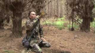 TV WiLD episode seven  The Fallow deer of Woodhill Forest [upl. by Shayna]