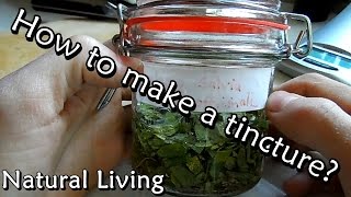 How to make a Tincture  Mother Tincture [upl. by Euqinot]