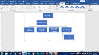 ORGANIGRAMAS EN WORD [upl. by Viole]