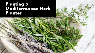 How to Plant Mediterranean Herb Planter [upl. by Tessy]