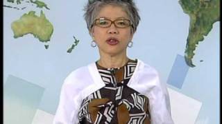 SBS News  Lee Lin Chin blooper quotWho is that handsomequot [upl. by Ridgley609]