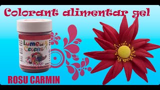 Colorant alimentar gel Lumea Basmelor rosu carmin [upl. by Phillis]