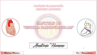 Tema 13 SISTEMA CARDIOVASCULAR  REPASO GENERAL [upl. by Adalard]