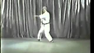 5 Wado Ryu Karate Kata Pinan Godan  Tatsuo Suzuki [upl. by Atenahs]