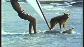 Windsurf  1980s  Riding the Wind with Fraser Black [upl. by Ahsieket]