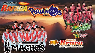 Bandas Viejitas Pero Bonitas Movidas Mix🎷Banda Machos Banda PequenosBanda Maguey Banda Rafaga [upl. by Hayden757]