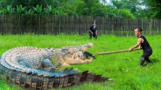 Dwarf Family Primitive Life Crocodile breaks fence and bites goat  garden renovate to grow chayote [upl. by Ecyarg828]