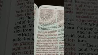 Bible Reading Mathew Chapter 12 Verse 3640 [upl. by Fabiolas]