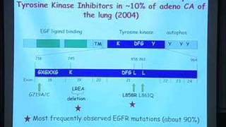 Cancer Biology and Cancer Medicine [upl. by Lacram410]