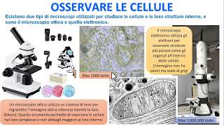 OSSERVARE LE CELLULE [upl. by Dannie644]