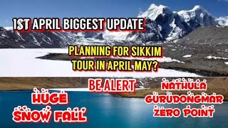 Best Time For Snowfall At Sikkim April May Update 2023Gangtok To Gurudongmar LakeZeroPointNathula [upl. by Garner]