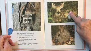 Grovers Book of Cute Little Baby Animals [upl. by Zerk]